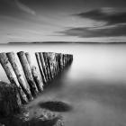 Lepe Posts