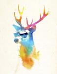 Sunny Stag