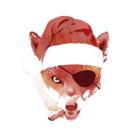 Bad Santa Fox