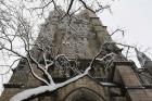 Branch Snow Cathedral 9688