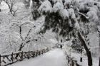 Central Park Path Deep Snow