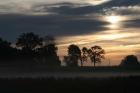 Grey Dawn Wetland