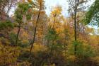 Inwood Manhattan Autumn