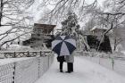 Central Park Couple In The Snow