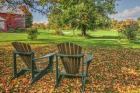 Barnyard Chairs