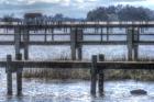 Blue Piers