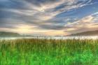 Cattails And Sky