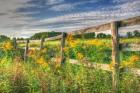 Denniston Lane Fence