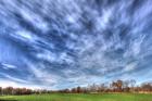 Field And Sky Autumn