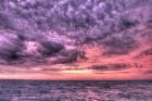 Purple Sunrise