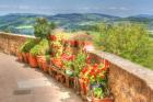 Tuscan Garden View