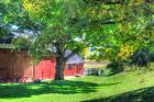 Barn And Family