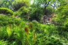 Garden Hillside