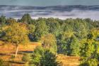 Misty Shawangunk View