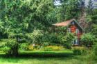 Pine Tree and Cottages