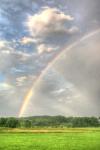 Rainbow Vertical