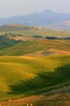 Tuscan Vertical Distant Hill Castle