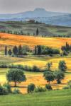 Tuscan Vertical Switchbacks