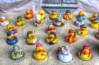 Rubber Duckies