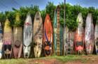 Surf Boards