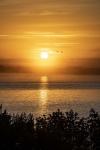 Sunrise 1