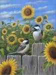 Chickadees And Sunflowers