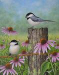 Chickadees and Coneflowers