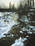 Winter Creek & Whitetails