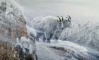 Winter's Fury Mountain Goat