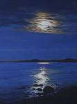 Moonlit Shore