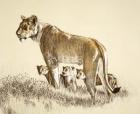 Lioness And Cubs