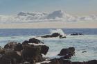 Ucluelet Afternoon