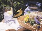 Goldfinch On Straw Hat