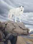 White Wolf