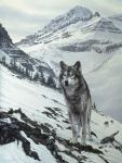 Winter Crossing - Wolf
