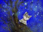 Night Cat Blue