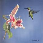 Hummingbird And Lily