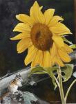 Sunflower and Chipmunck