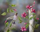 Hummingbird with Flowers