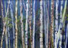 Mystery Of Trees-Birches