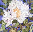 White Peony