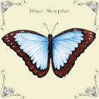 Butterfly Blue Morphe