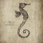 Seahorse