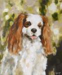 Cavalier King Charles