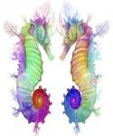 Two Seahorse