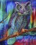 Rainbow Owl