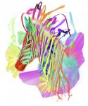 Zebra Head 1