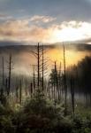 Vermont Swamp at Sunrise