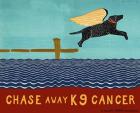 Chase Away K9 Cancer