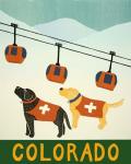 Colorado Ski Patrol